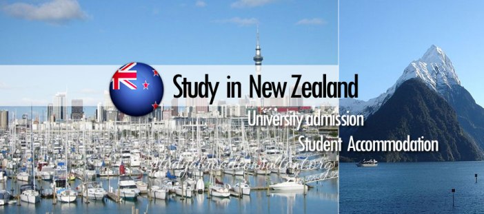study-newzealand.jpg